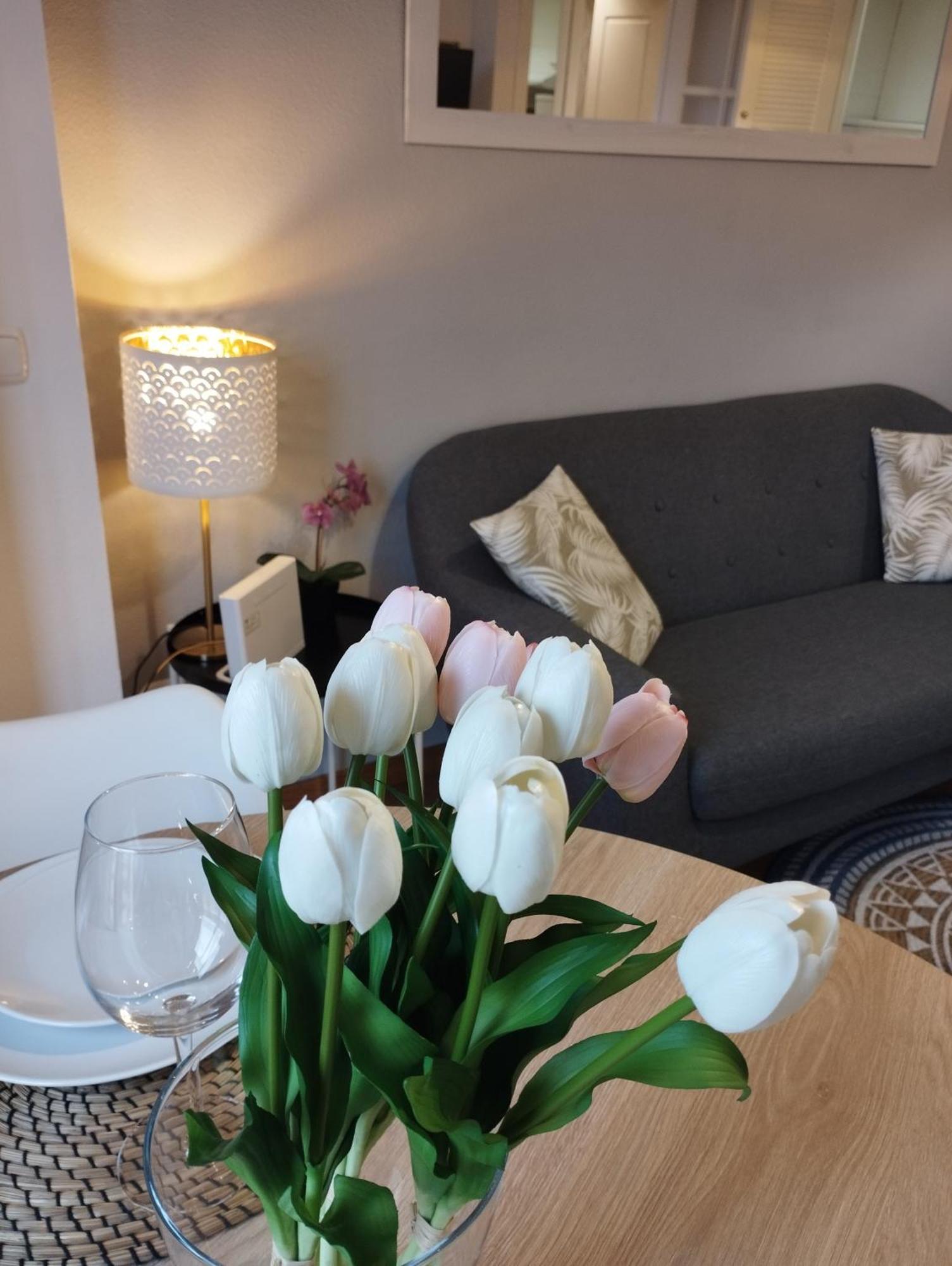 My Suites Madrid - Aeropuerto Ifema المظهر الخارجي الصورة